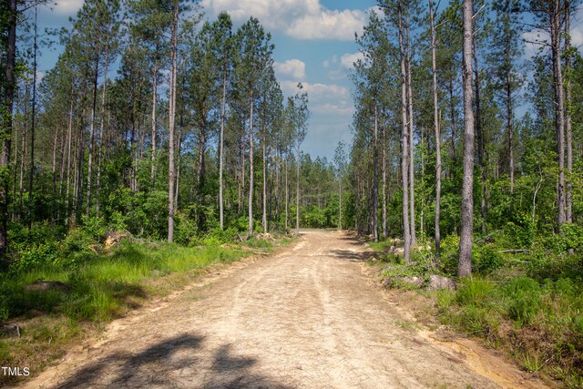 0 Old Roxboro Rd, Oxford, NC 27565 - photo 10