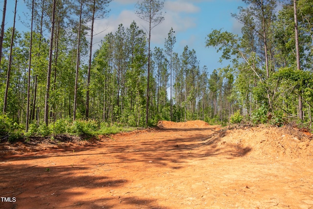 0 Old Roxboro Rd, Oxford, NC 27565 - photo 15