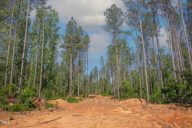 0 Old Roxboro Rd, Oxford, NC 27565 - photo 16