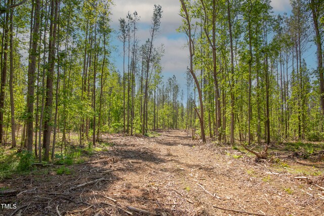 0 Old Roxboro Rd, Oxford, NC 27565 - photo 17