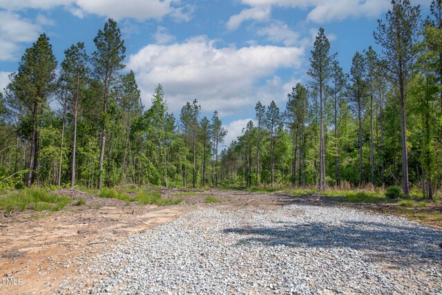 0 Old Roxboro Rd, Oxford, NC 27565 - photo 21