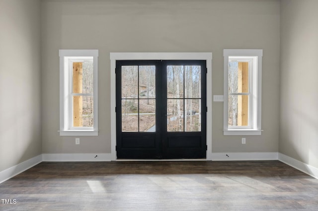 foyer entrance featuring a wealth of natural light and wood-type flooring