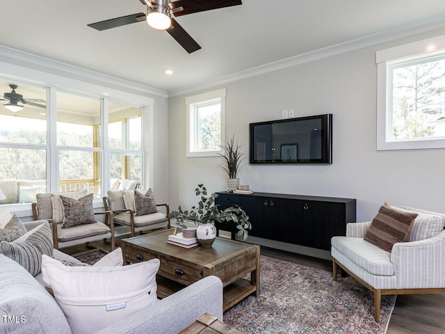 living area with crown molding, wood finished floors, and ceiling fan