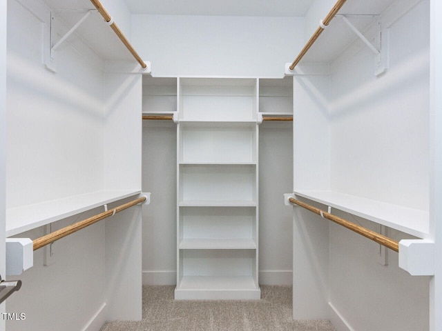 spacious closet with carpet flooring
