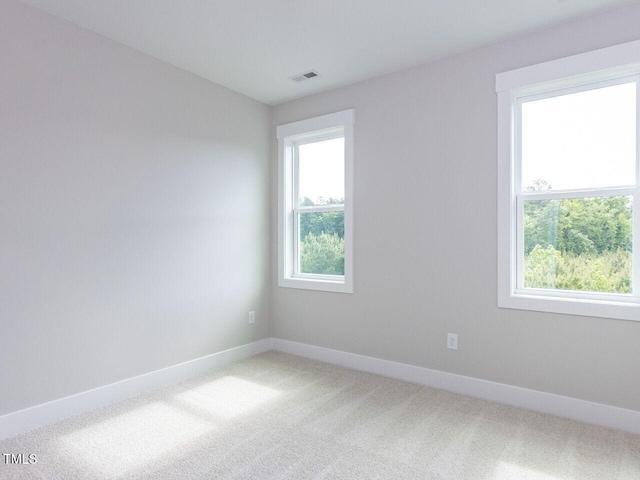empty room featuring light carpet, a wealth of natural light, and baseboards