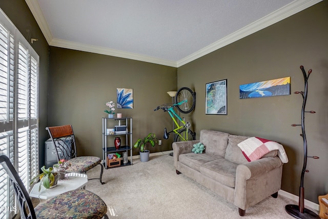 carpeted living room featuring crown molding