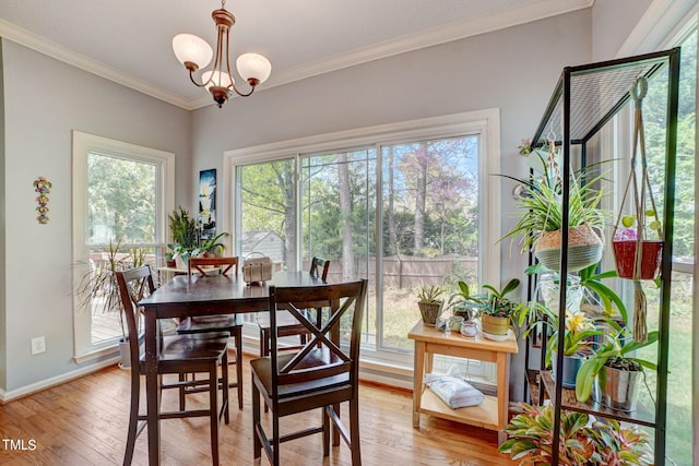 dining room with crown molding, a wealth of natural light, a chandelier, and light hardwood / wood-style floors