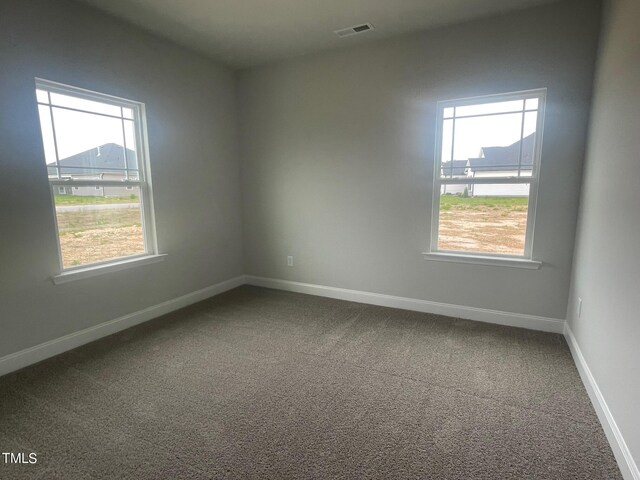 carpeted empty room with a wealth of natural light