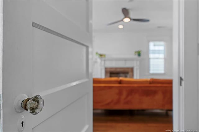 interior space with hardwood / wood-style floors and ceiling fan