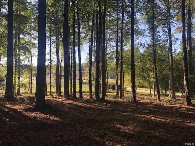 64 Seneca Ct, Pittsboro NC, 27312 land for sale