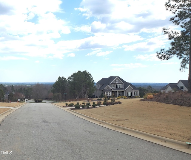 view of road featuring curbs