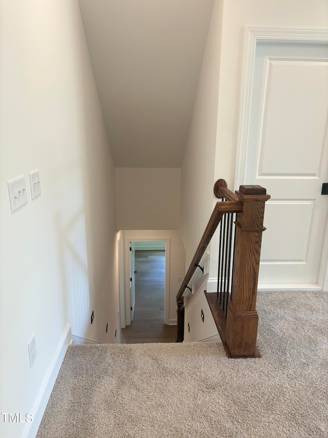 stairs with carpet floors and vaulted ceiling