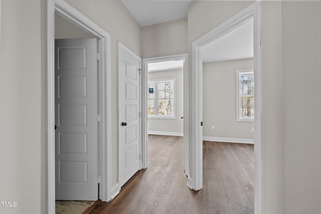 corridor with dark hardwood / wood-style flooring