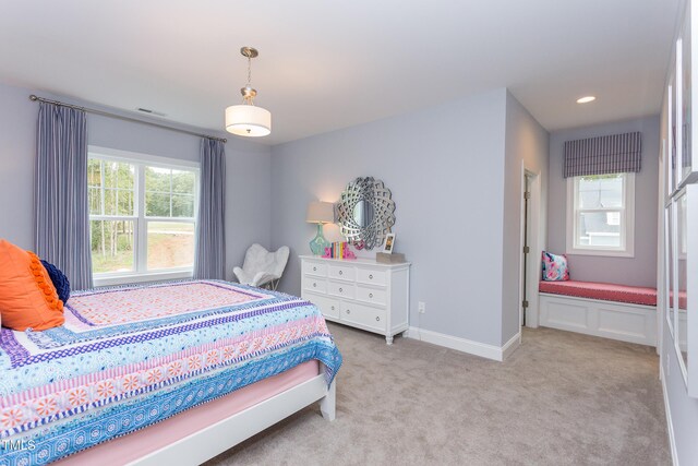 6829 Sleeping Meadow Ln, Holly Springs, NC 27540 - photo 45