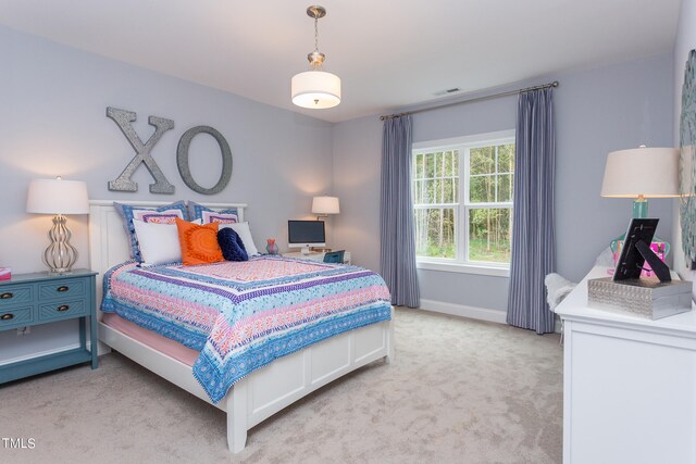 6829 Sleeping Meadow Ln, Holly Springs, NC 27540 - photo 47