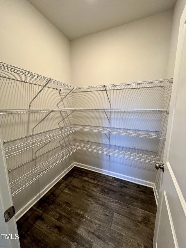 spacious closet featuring wood-type flooring