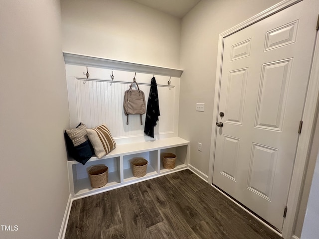 mudroom with dark wood-type flooring