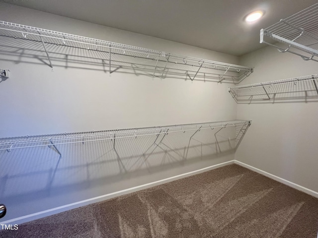 spacious closet featuring carpet floors