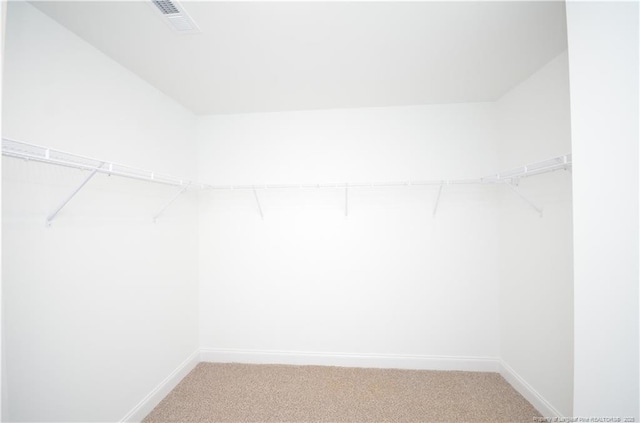 spacious closet featuring carpet flooring