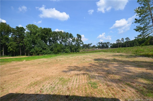 view of local wilderness with a rural view