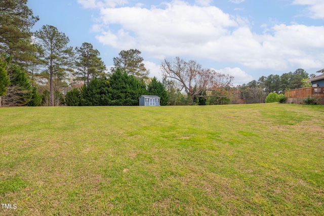 view of yard with a shed