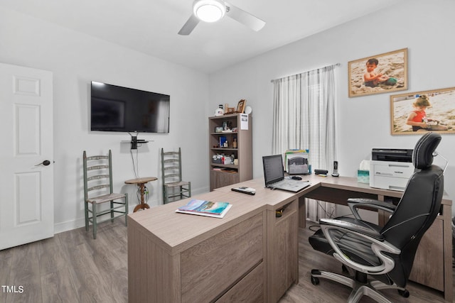 home office with ceiling fan and light wood-type flooring