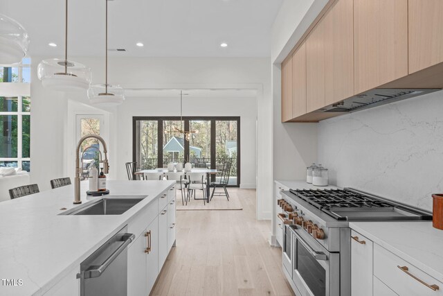 1435 Duplin Rd, Raleigh, NC 27607 - kitchen with appliances with stainless steel finishes, a sink, healthy amount of natural light, light wood-style flooring, and recessed lighting