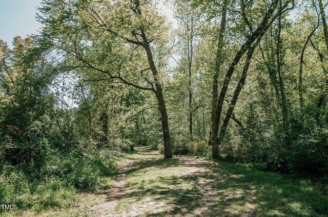 1435 Duplin Rd, Raleigh, NC 27607 - view of woods