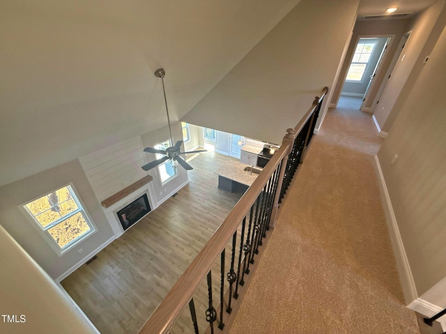 stairs with ceiling fan, carpet, and lofted ceiling