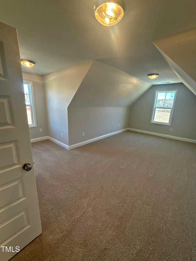 bonus room featuring carpet and vaulted ceiling