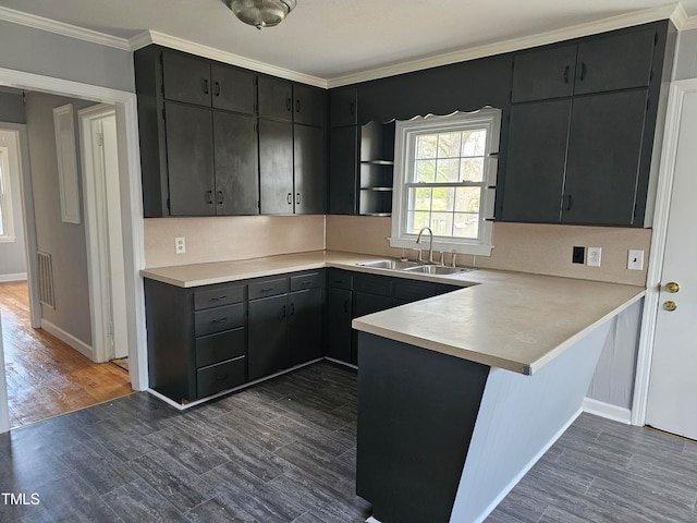 910 Marshall St, Roanoke Rapids, NC 27870 - kitchen with sink, kitchen peninsula, dark wood-type flooring, and crown molding
