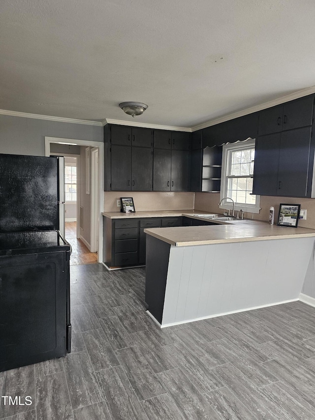 910 Marshall St, Roanoke Rapids, NC 27870 - kitchen featuring sink, kitchen peninsula, stainless steel fridge, and a healthy amount of sunlight