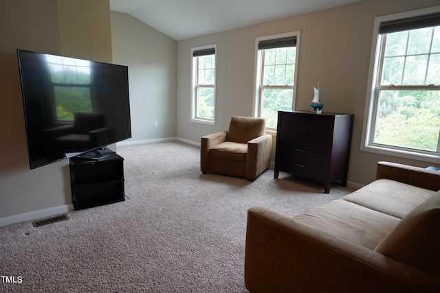 carpeted living room featuring lofted ceiling