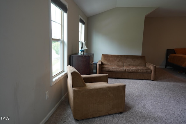 living room featuring lofted ceiling and carpet flooring