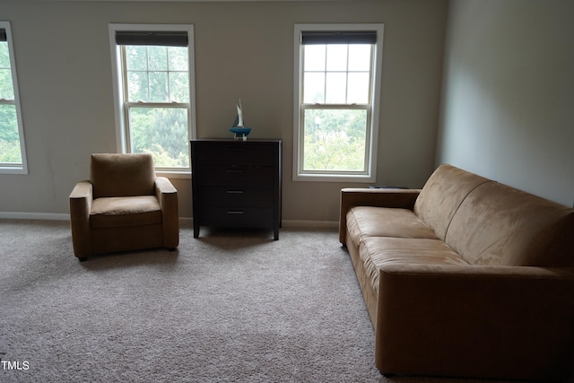 sitting room with carpet floors