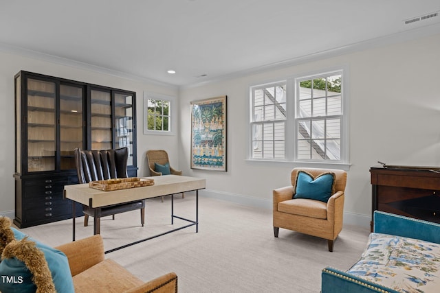 carpeted office space with a wealth of natural light and crown molding