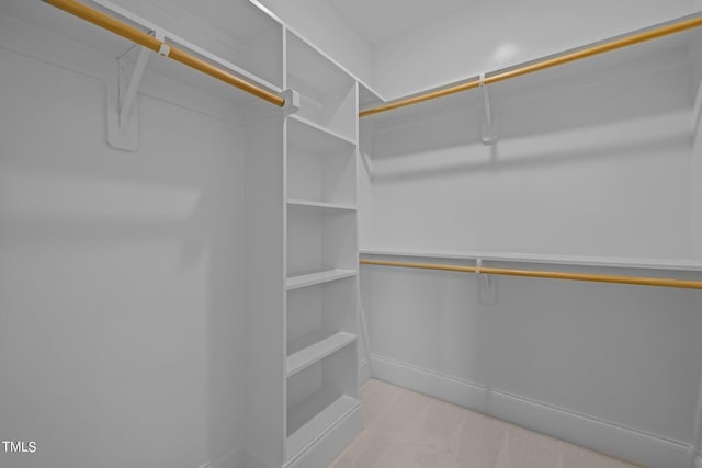 spacious closet featuring light carpet