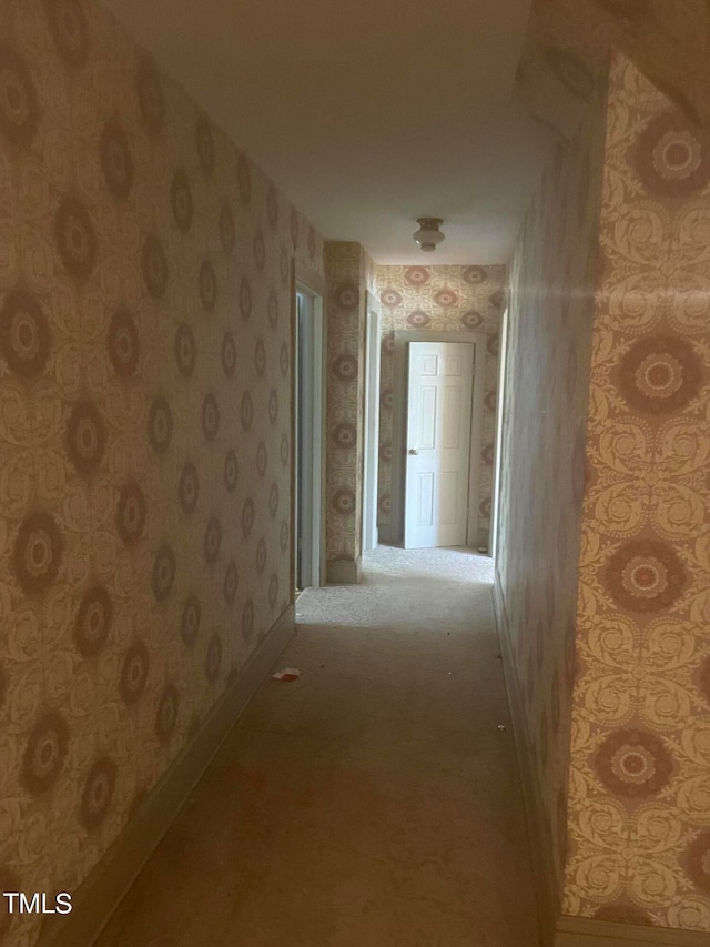 corridor with light colored carpet