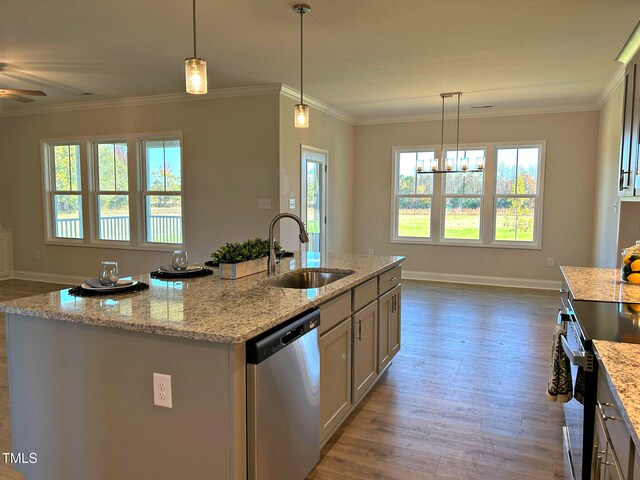 kitchen featuring hardwood / wood-style flooring, a center island with sink, a healthy amount of sunlight, and appliances with stainless steel finishes