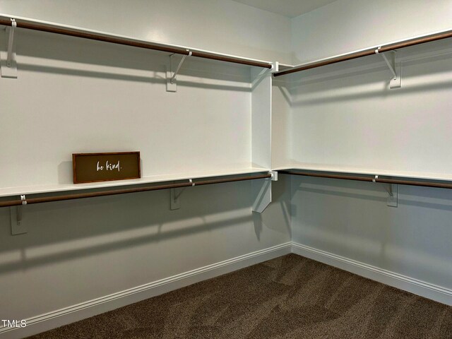 walk in closet with carpet flooring