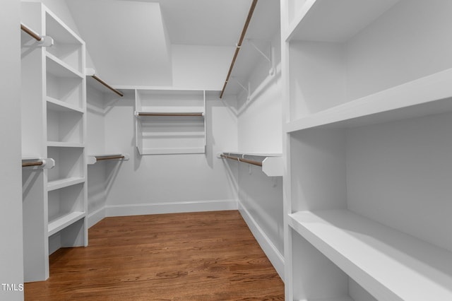 spacious closet featuring hardwood / wood-style flooring