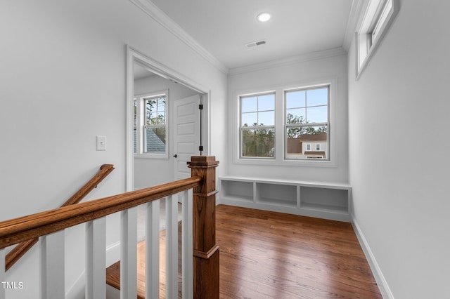 hallway featuring wood-type flooring and crown molding