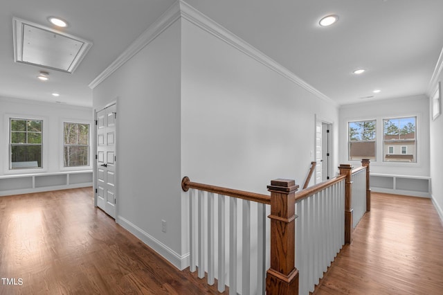 corridor featuring ornamental molding, wood-type flooring, and a healthy amount of sunlight