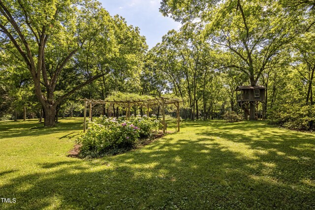 6720 Mebane Oaks Rd, Mebane, NC 27302 - view of yard with a pergola