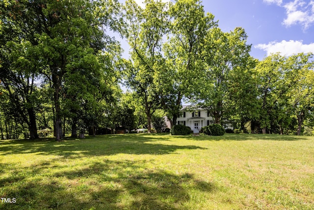 6720 Mebane Oaks Rd, Mebane, NC 27302 - view of yard