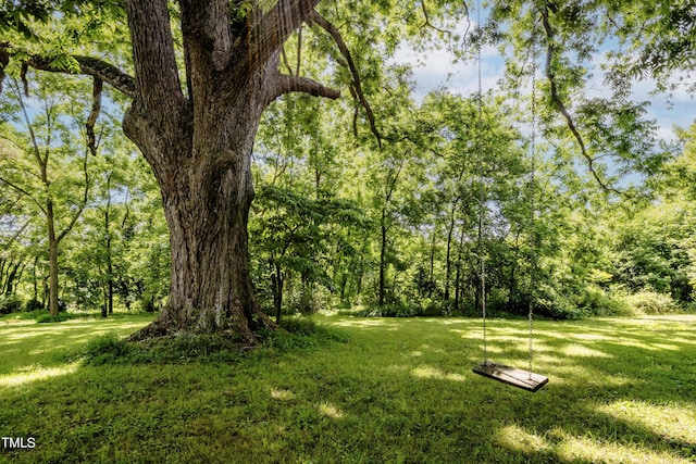6720 Mebane Oaks Rd, Mebane, NC 27302 - view of yard