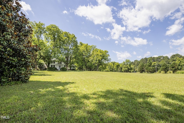 6720 Mebane Oaks Rd, Mebane, NC 27302 - view of yard