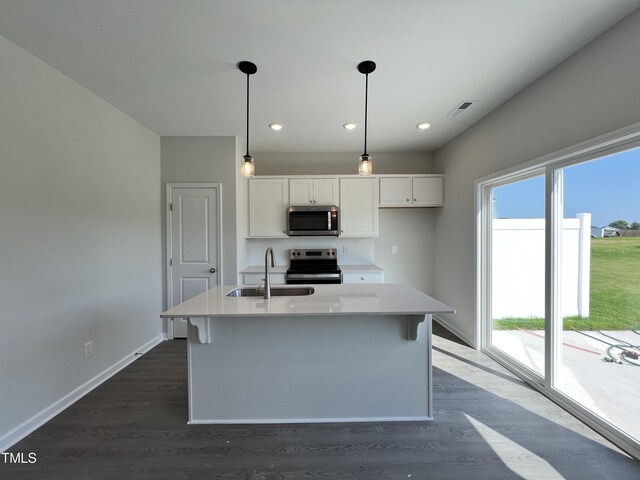 kitchen with plenty of natural light, dark hardwood / wood-style floors, an island with sink, and stainless steel appliances