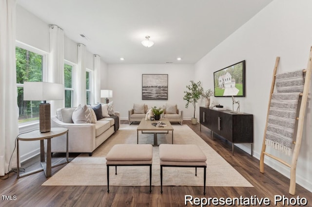 living room with wood-type flooring