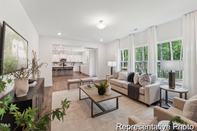 living room featuring light hardwood / wood-style floors